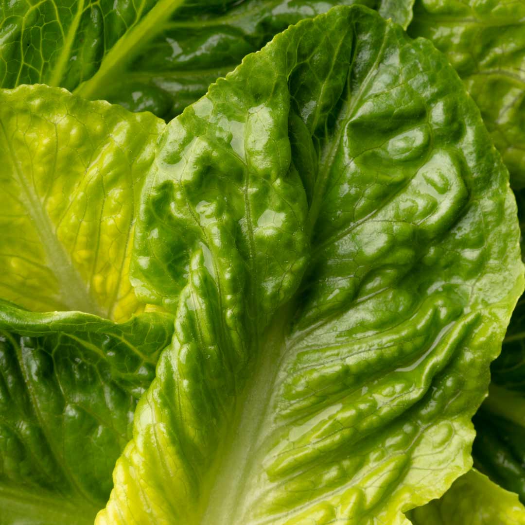 Signature Burger Nutrition and Description ChickfilA